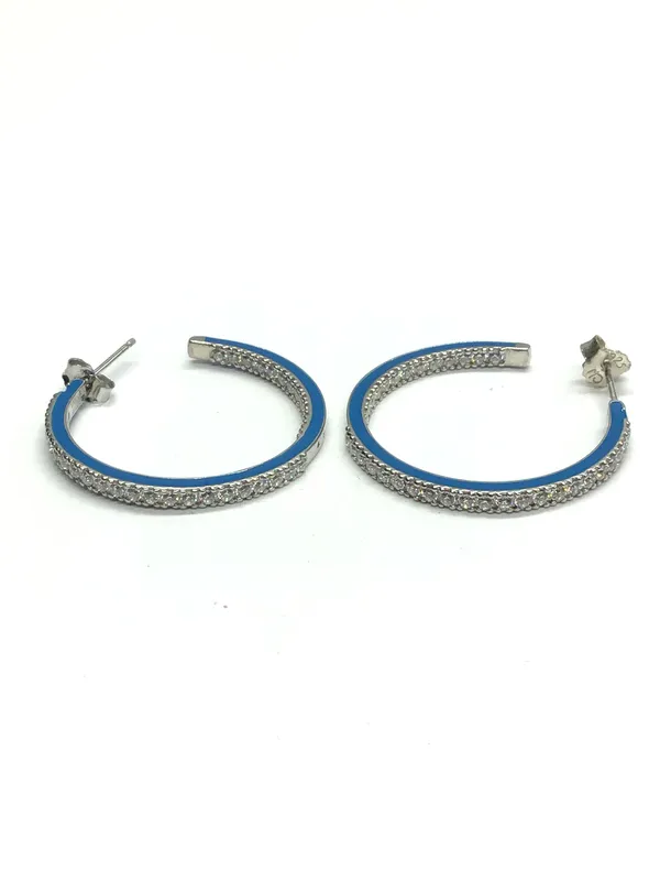 Sterling silver earrings from auction in Springfield, Missouri