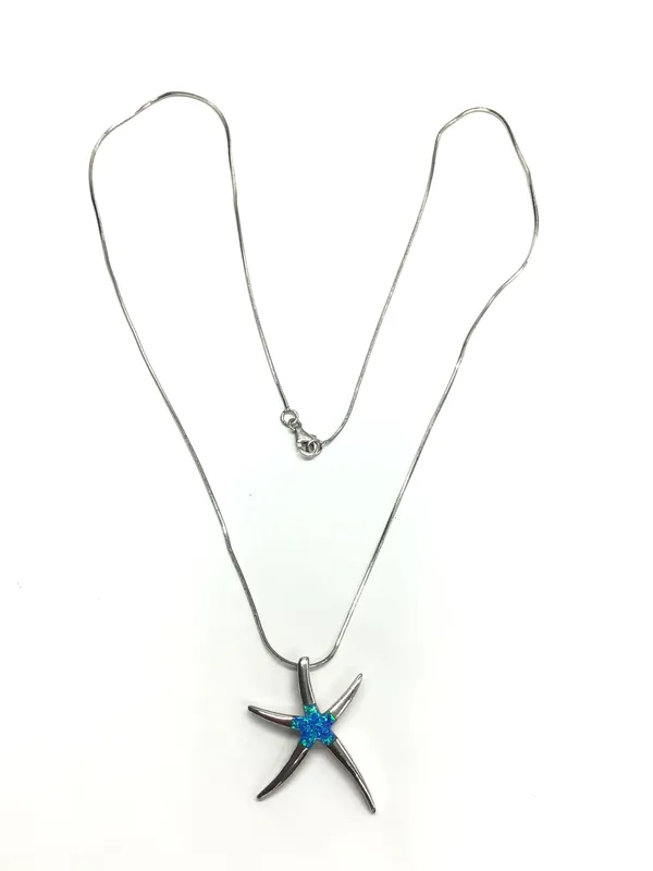 Sterling silver necklace and pendant from auction in Springfield, Missouri