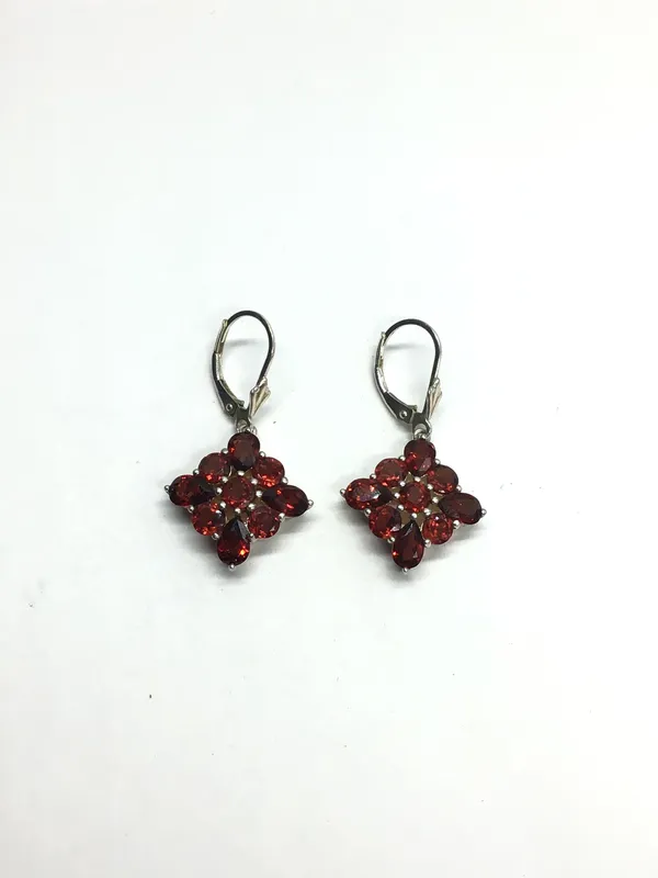 Sterling silver earrings from auction in Springfield, Missouri