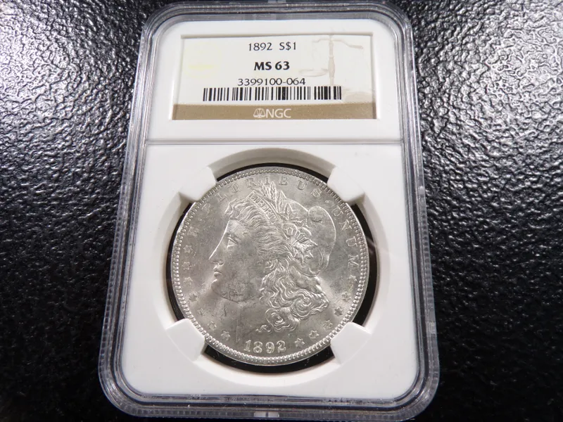 BIG DOG COIN AUCTION