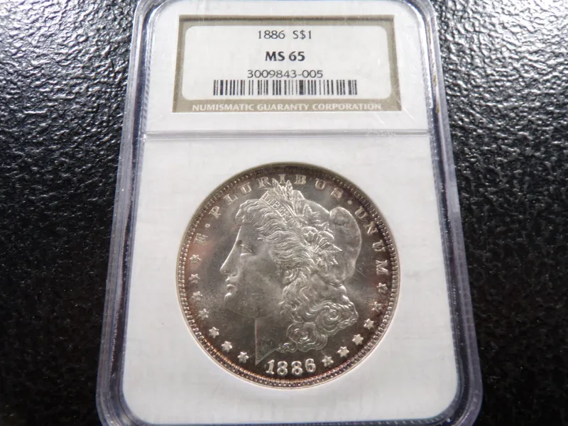 BIG DOG COIN AUCTION