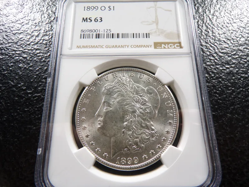 BIG DOG COIN AUCTION