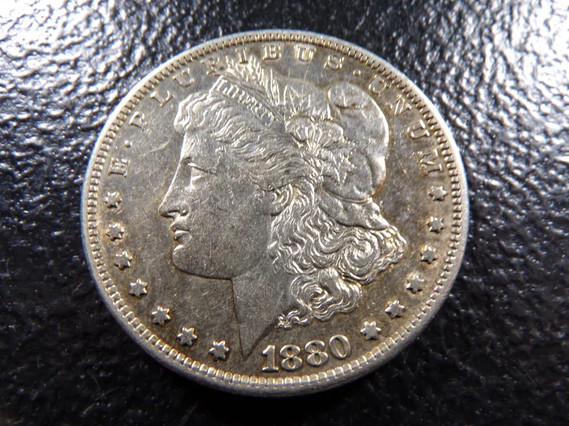 1880-S MORGAN SILVER DOLLAR from auction in Englewood, Ohio