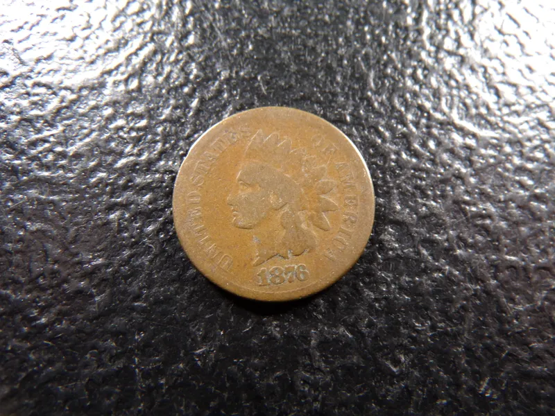 1876 INDIAN HEAD CENT from auction in Englewood, Ohio