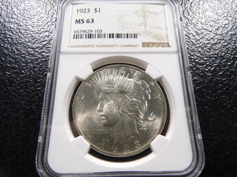 1923 NGC MS63 PEACE SILVER DOLLAR from auction in Englewood, Ohio