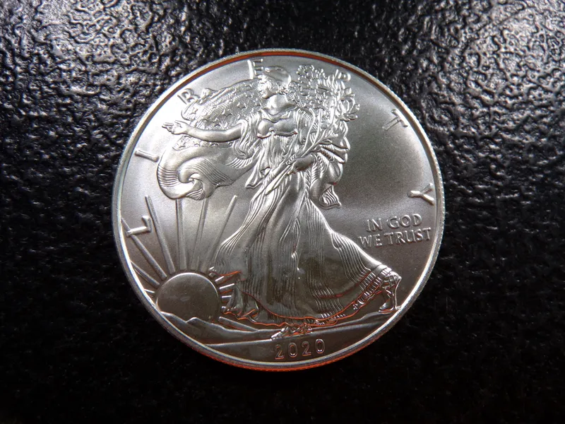 2020 AMERICAN SILVER EAGLE DOLLAR from auction in Englewood, Ohio