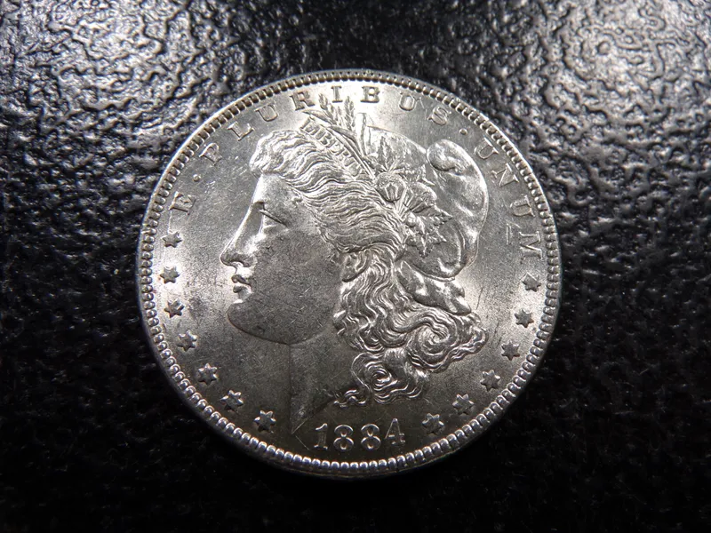 1884 MORGAN SILVER DOLLAR from auction in Englewood, Ohio