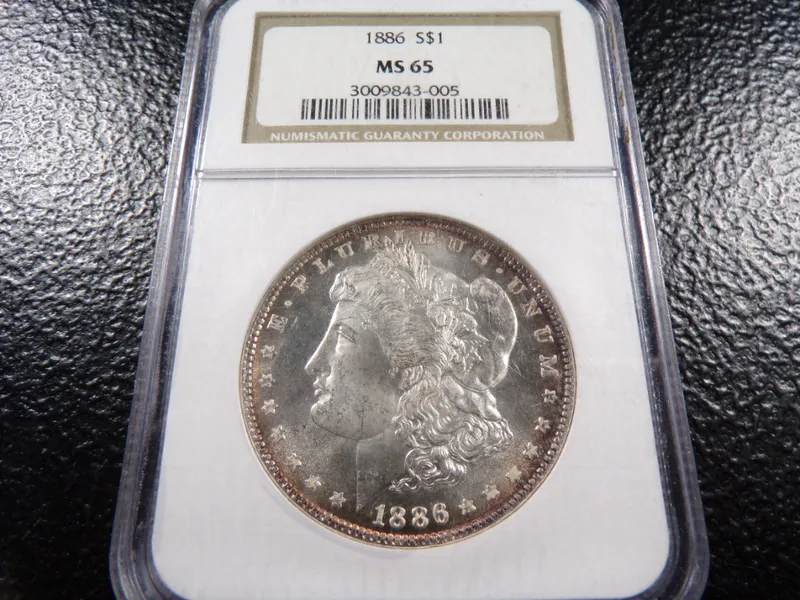 BIG DOG COIN AUCTION