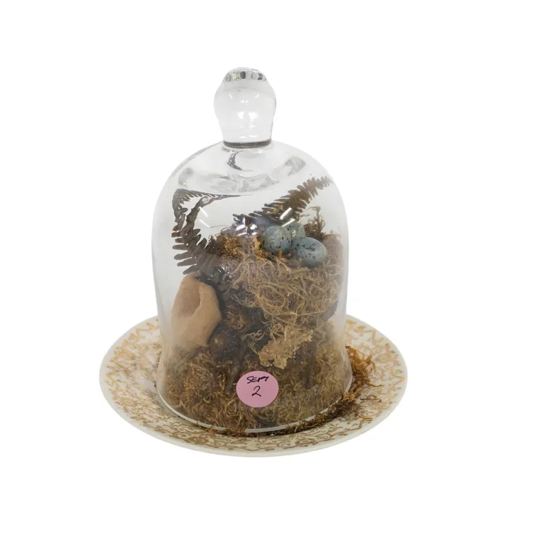 BLOWN GLASS CLOCHE DOME CENTERPIECE from auction in Mount Pleasant, South Carolina