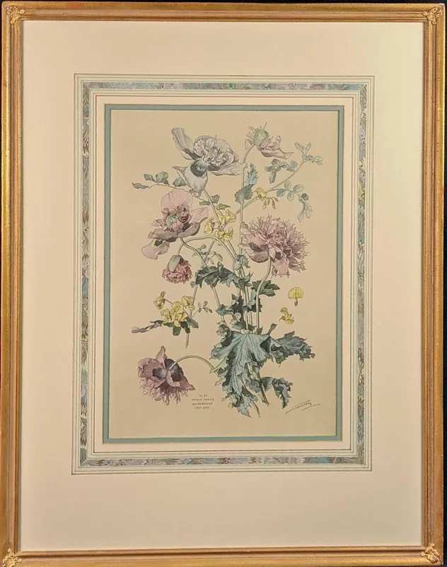 Vintage Framed Botanical Pavots Varies Poppies Print from auction in Orlando, Florida