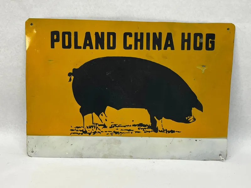 Poland China Hog Painted Metal Sign from auction in Dundee, Ohio