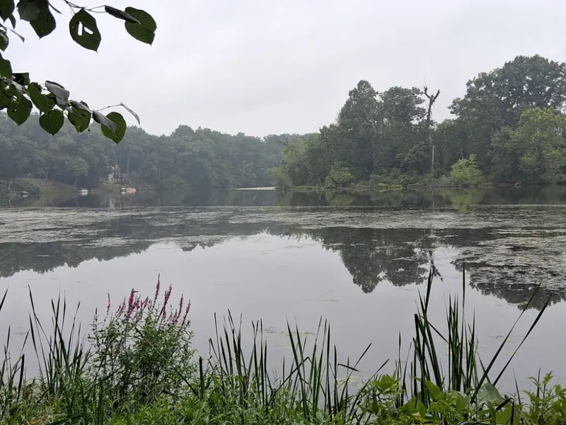 3.6 Acres - House - St. Joe River Frontage - Woods