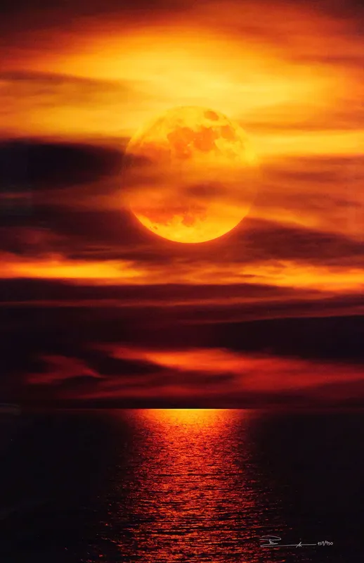 PETER LIK, Photography, Moonlight Reflections from auction in Clearwater, Florida
