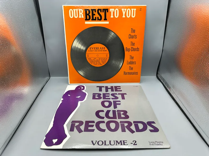 (2) Vintage Rhythm and Blues Doo-Wop Compilation Vinyl Albums from auction in Greenville, Ohio