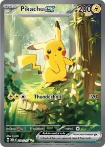 Summer Vault | Cards, Gold & Collectibles