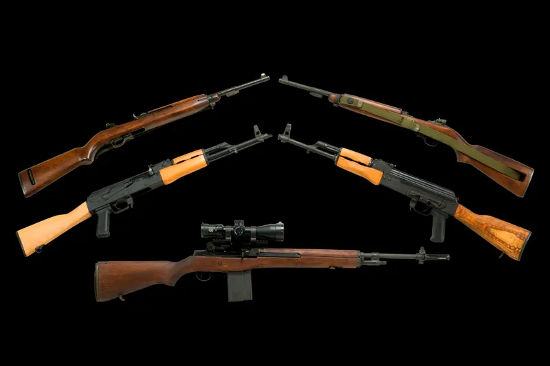 Firearms Auction