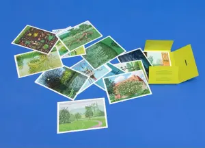 DAVID HOCKNEY AND FRIENDS ART MUSEUM POSTERS