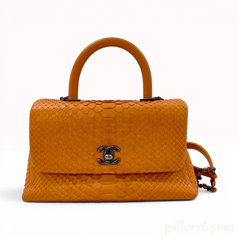 Chanel Orange Python Coco Handle Bag with Aged Ruthenium Hardware from auction in Atlanta, Georgia