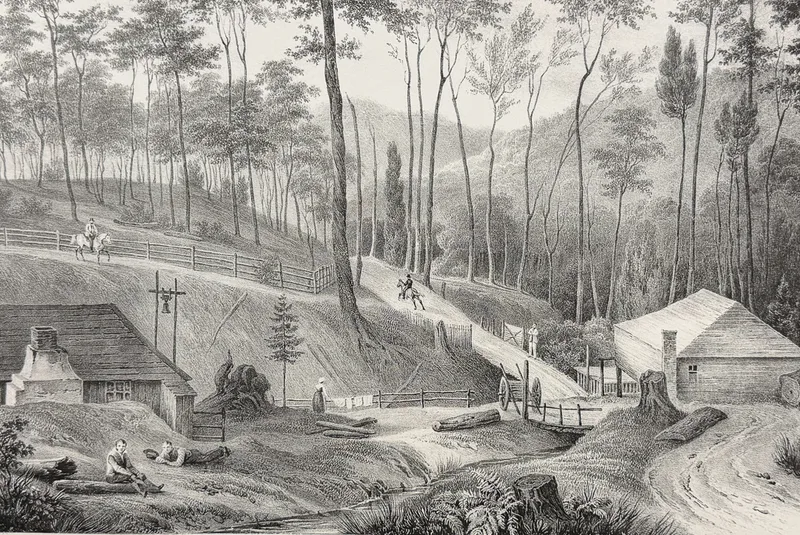 Dumont D'Urville, Australia - Australia; Moulin a Scie, dans les bois d'Hobart-Town (Van Diemen) from auction in Franklin, Tennessee