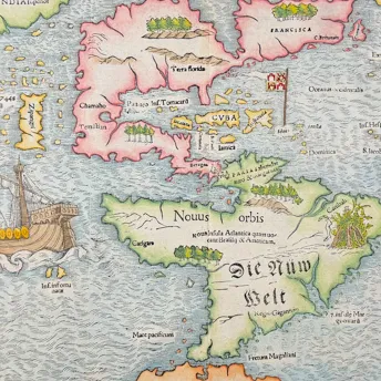 Antique Prints, Maps, & Books of Natural History, Botanicals, & More