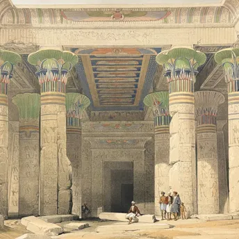 Antique Maps & Prints of Natural History, Botanicals, & More