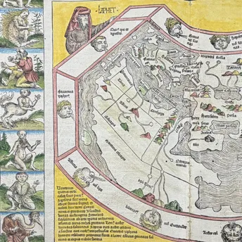 Antique Prints, Maps, & Books of Natural History, Botanicals, & More