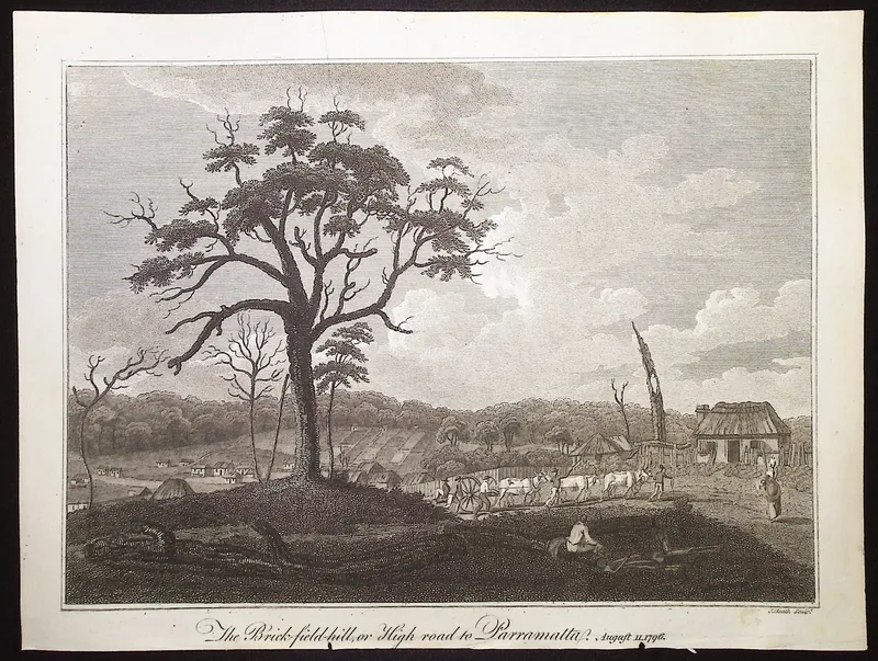 Collins, Australia - Australia (New Holland): The Brick-field-hill, or High Road to Paramatta from auction in Franklin, Tennessee