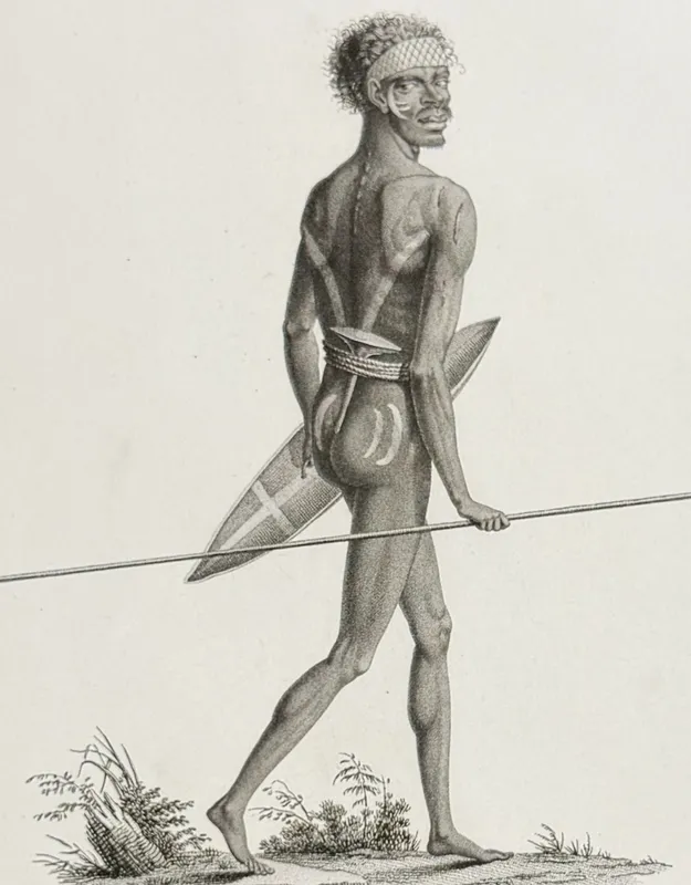 Peron & Freycinet - Native Australian or Aborigine: Norou-Gal-Derri from auction in Franklin, Tennessee