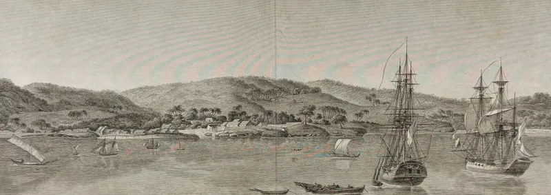Peron & Freycinet - View of Timor, Australia [New Holland] from auction in Franklin, Tennessee