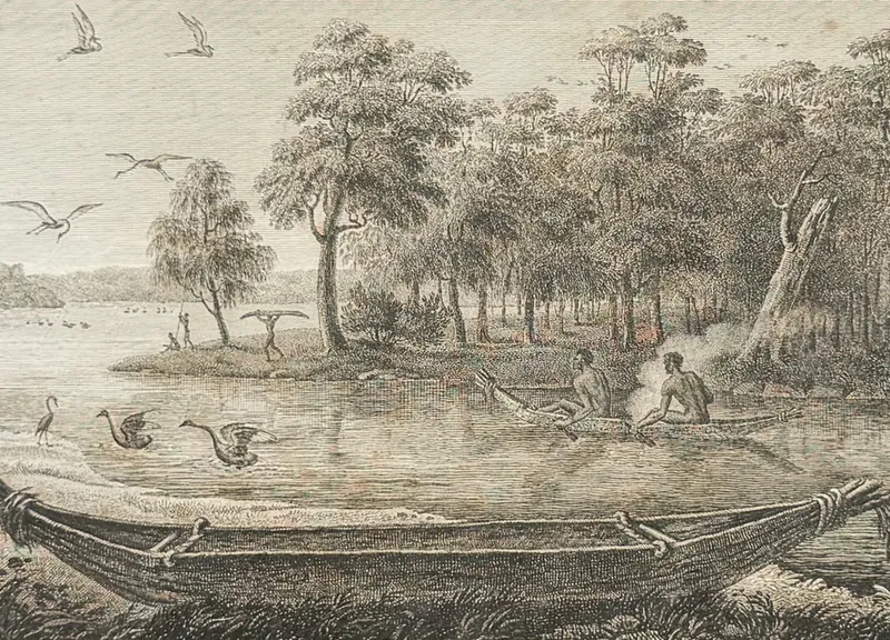 Peron & Freycinet - Navigation & Canoe [Australia, New Holland] from auction in Franklin, Tennessee