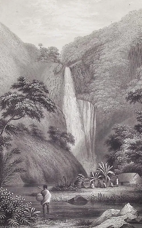 Wilkes, Hawaii - Hanapepe Valley (Kauai, Hawaii) (Sandwich Islands) from auction in Franklin, Tennessee