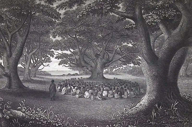Wilkes, Hawaii - Grove of Kukui Trees Kavai (Kauai, Hawaii) (Sandwich Islands) from auction in Franklin, Tennessee