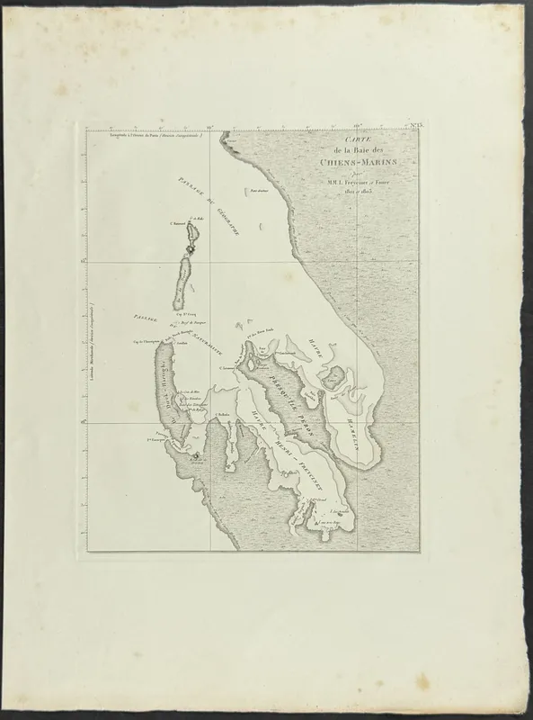 Peron & Freycinet - Map of Australia (Baie des Chiens-Marins) [Australia, New Holland] from auction in Franklin, Tennessee