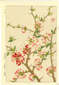 Ukiyoe Gallery: Japanese Woodblock Prints