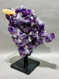 Fall Rock and Fossil Timed Clearance Auction