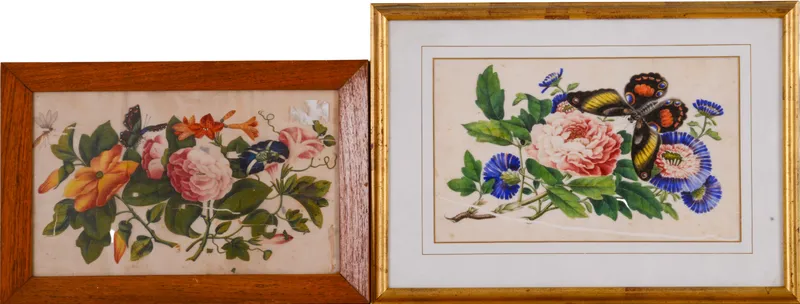 Two Floral Illustrations on Silk. from auction in Freeport, Maine
