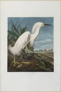 Arader Galleries October 3, 2026 Auction