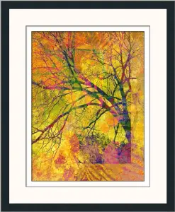 Original & Signed Contemporary Art