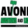 CONSIGNMENT AUCTION (Session 1 AND ONLY)