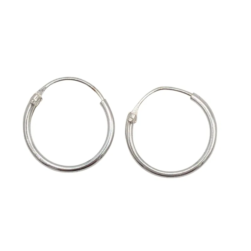 Sterling Silver Endless Hoop Earrings from auction in Ravenna, Ohio