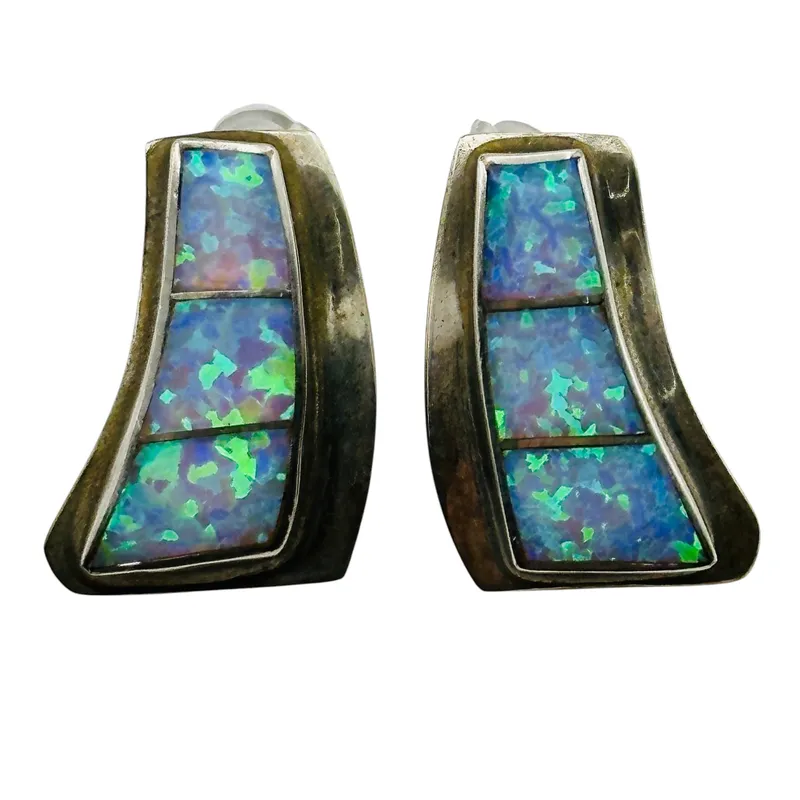 Nathaniel Johnson Navajo Sterling Opal Earrings from auction in Ravenna, Ohio