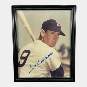Autographs, Cards, Toys & More