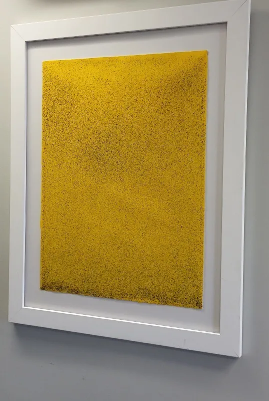 John Knuth flyspeck original on rag paper arches from auction in wilmington , North Carolina