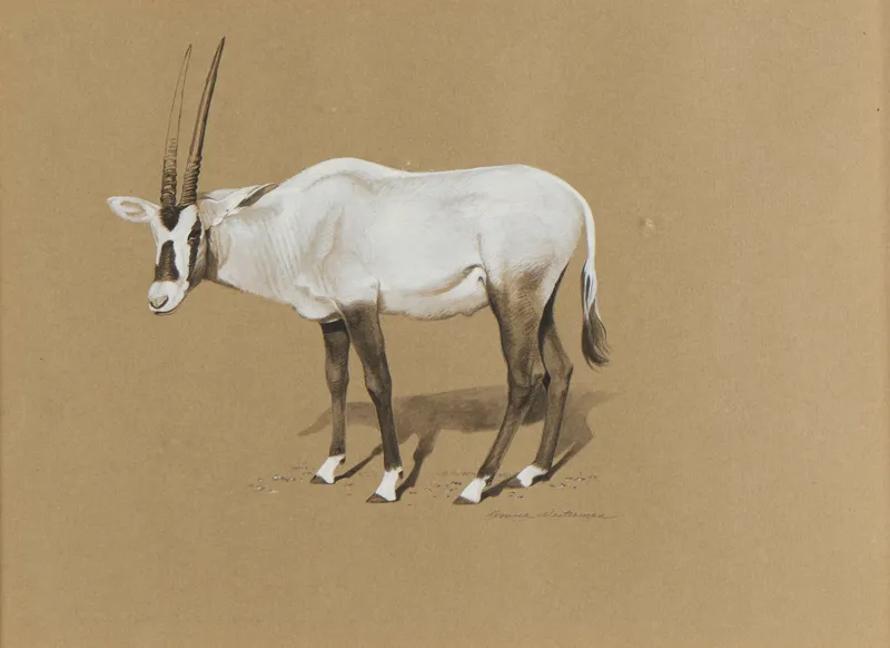 Donna Westerman "Arabian Oryx" Painting from auction in Saint Paul, Minnesota
