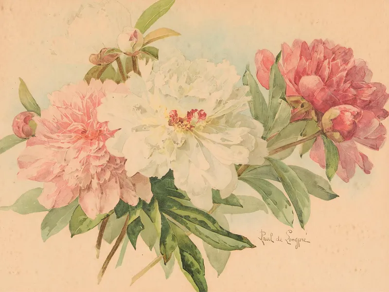 Paul de Longpres Peony Watercolor Painting from auction in Saint Paul, Minnesota