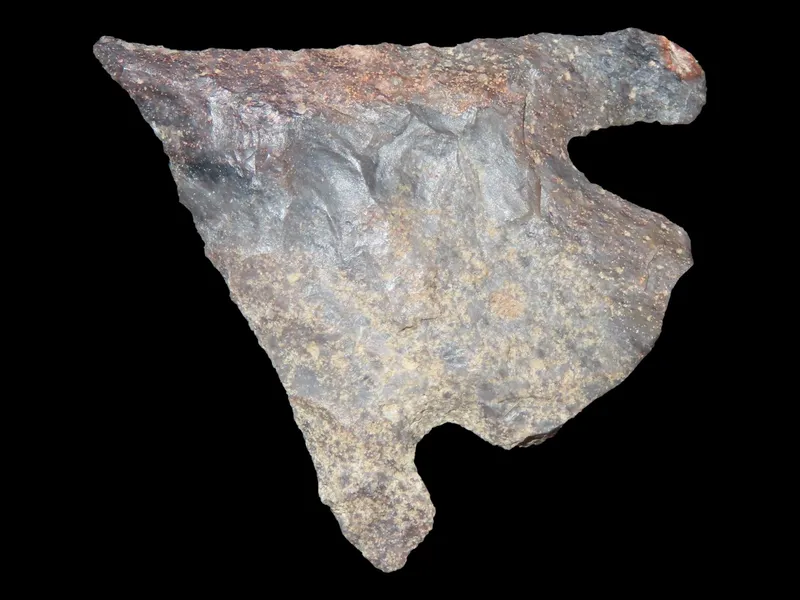 1 1/4" Shumla, Texas from auction in Quincy, Illinois
