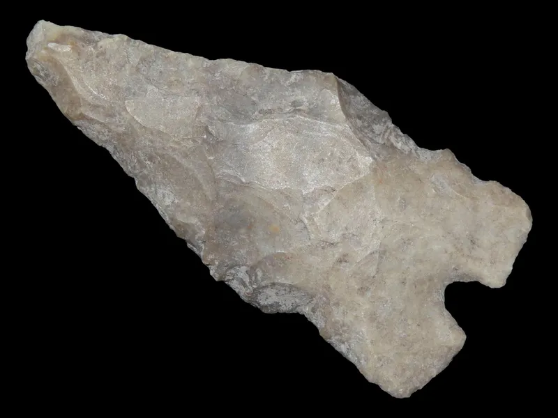 2" Montell, Central Texas from auction in Quincy, Illinois
