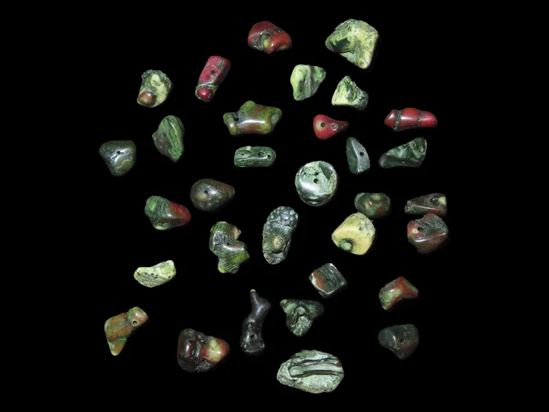 Collection of Fossil Coral, Middle East from auction in Quincy, Illinois