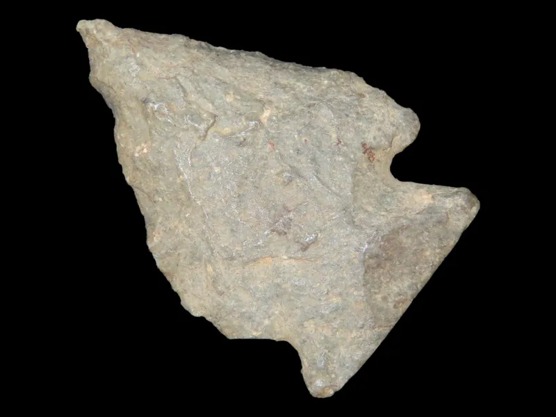 1 3/8" Oley Point, Gray Rhyolite, Found 1920-1930, Marvin Farm/Beaver Site, Attleboro, Massachusetts, Ex. Peter Engstrom, Ex. Dr. Robbins Collection from auction in Quincy, Illinois
