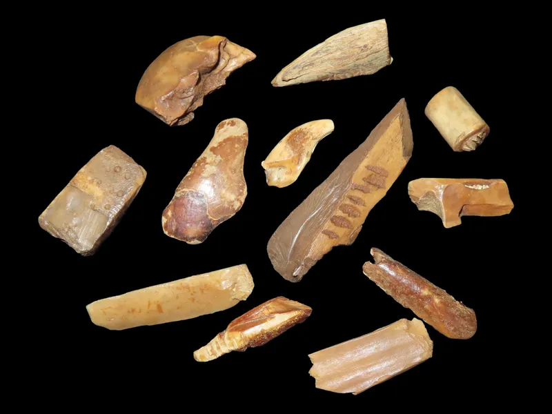 Lot of 12 Fossilized Eskimo Inuit Bone Artifacts, St. Lawrence Island, Alaska from auction in Quincy, Illinois